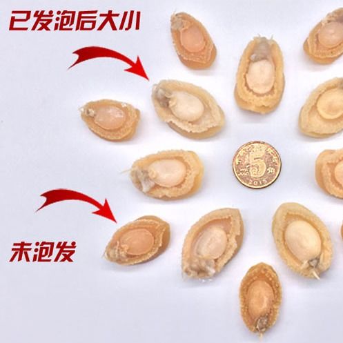 湛江小干鮑 天然海味，佛跳墻的點睛之筆